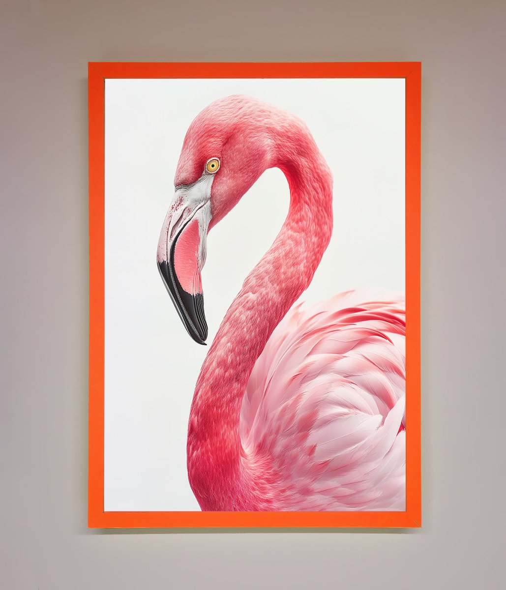 Pink Flamingo Stare Framed Print-10