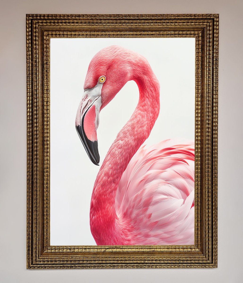 Pink Flamingo Stare Framed Print-15