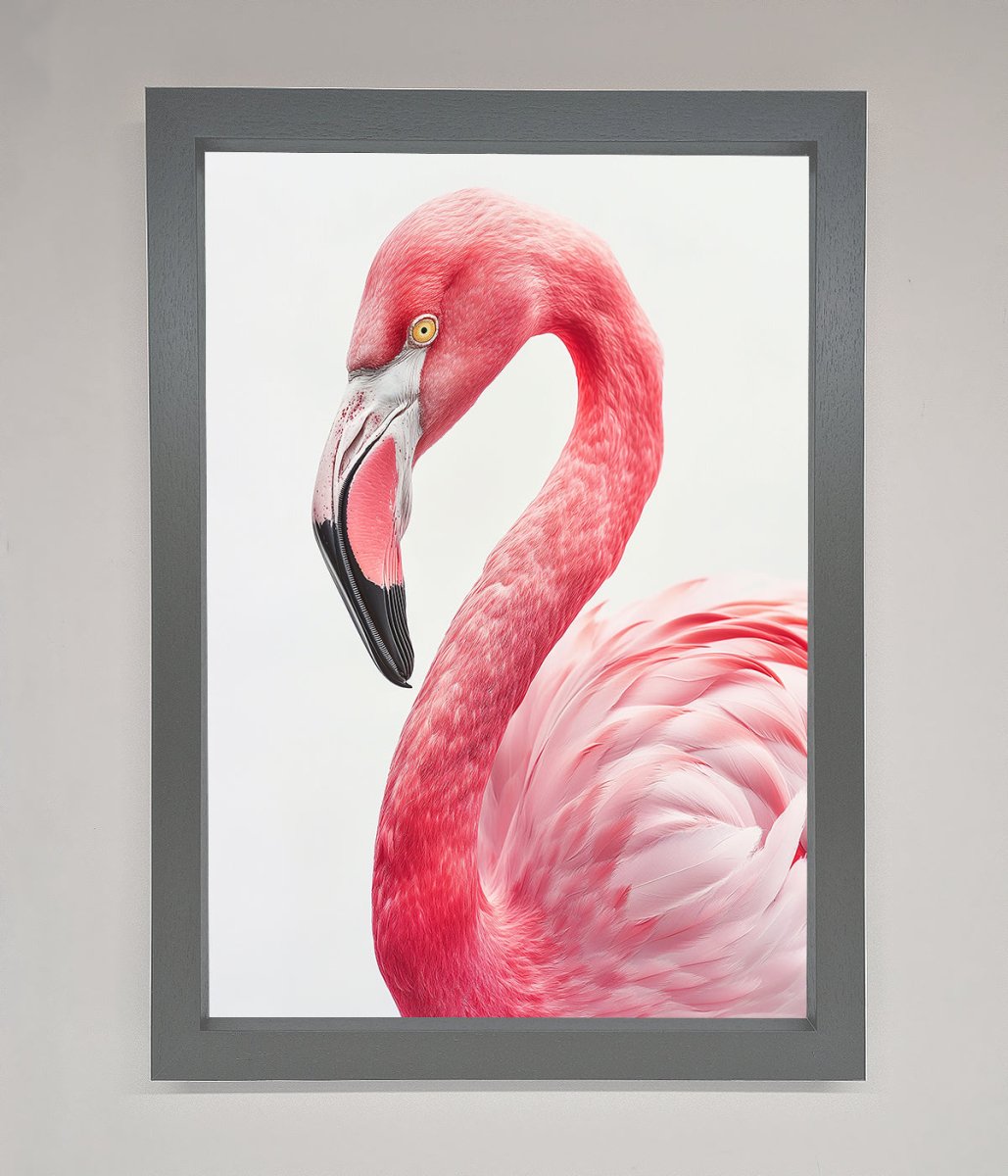 Pink Flamingo Stare Framed Print-0